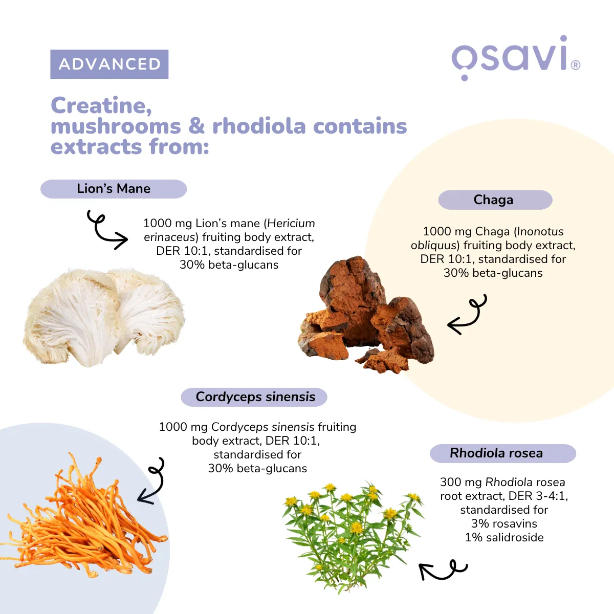 OSAVI Creatine Mushrooms & Rhodiola me Lion’s Mane Cordyceps dhe Chaga