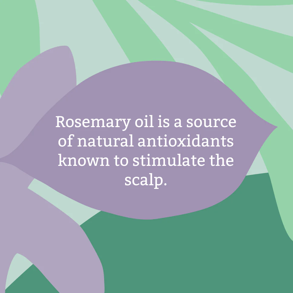 Faith in Nature Rosemary Stimulating Hair Mask - Figura 3